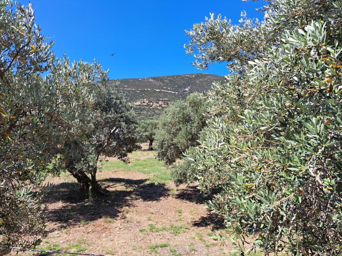 Appartamento Madilides Platis Gialos  Esterno foto